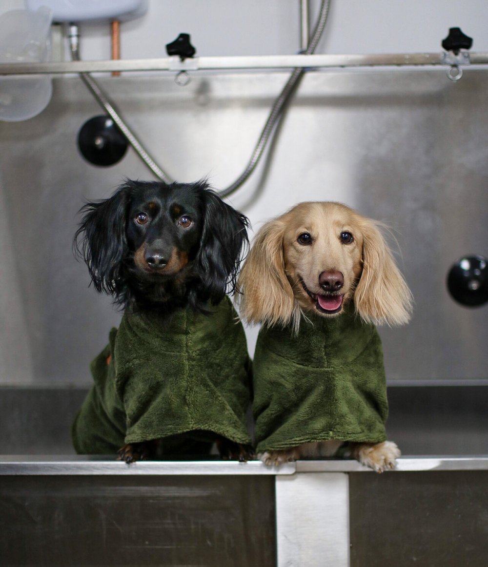 Luxury Bamboo Dog Drying Robe