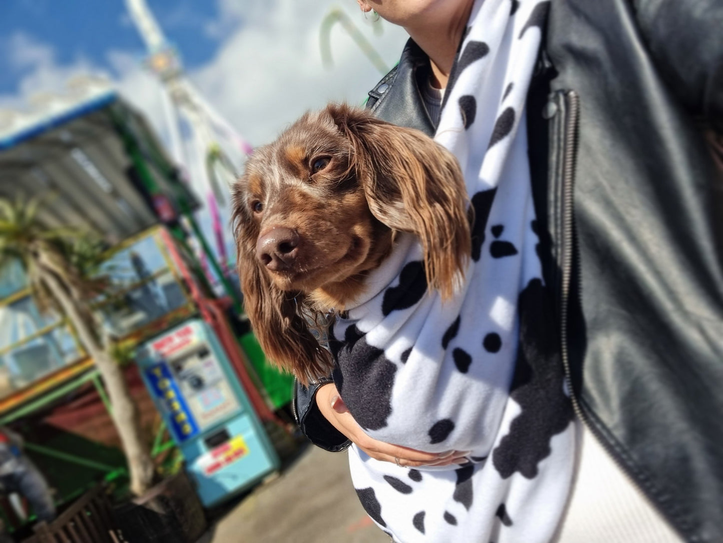 DOG SLINGS