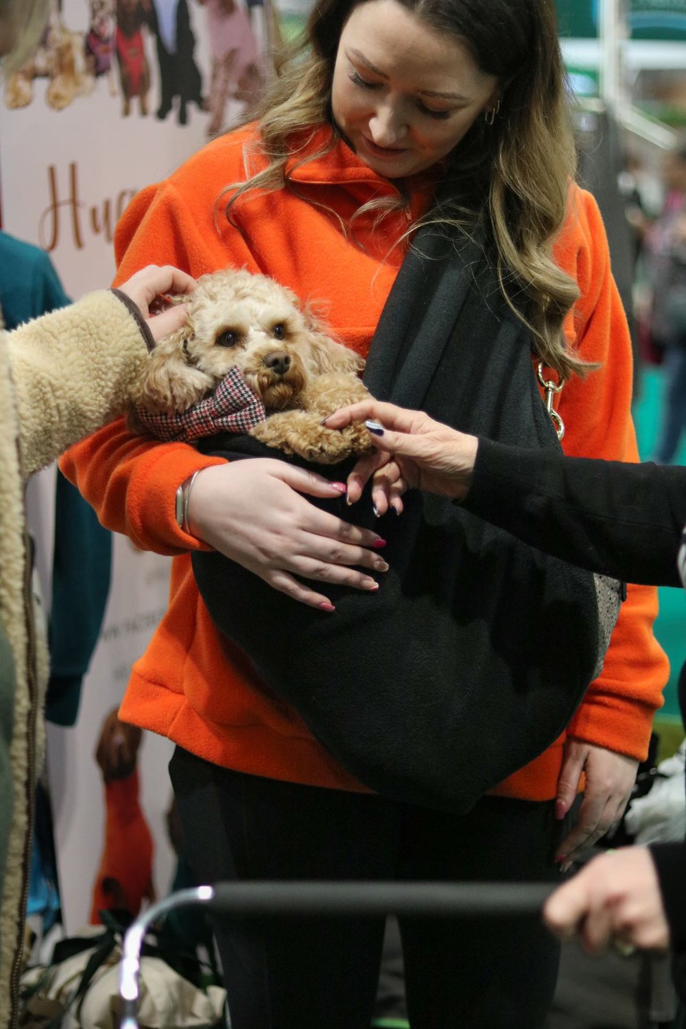 DOG SLINGS