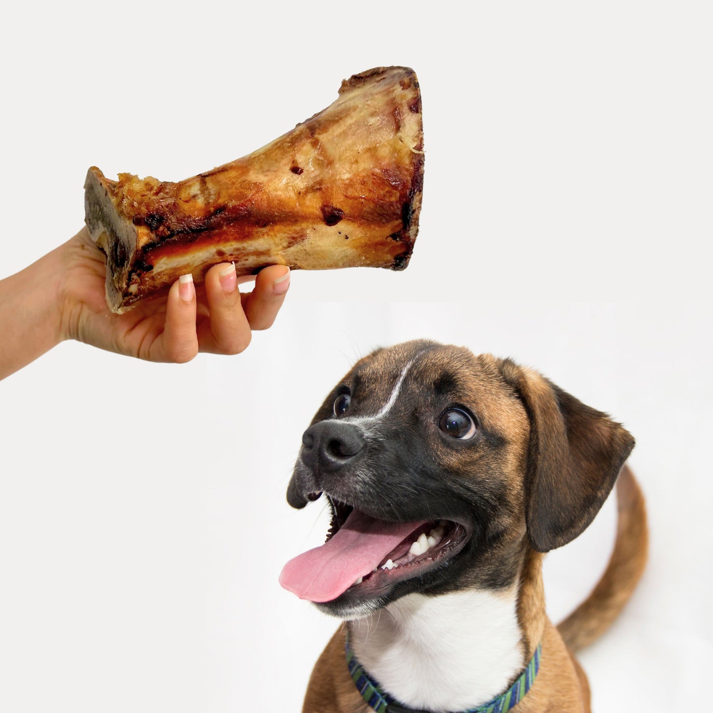 British Beef Marrow Bones