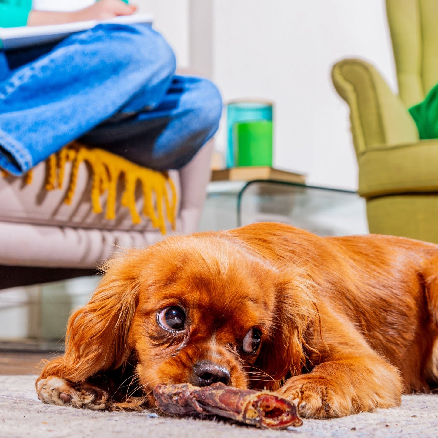 Pizzle Bites 100g