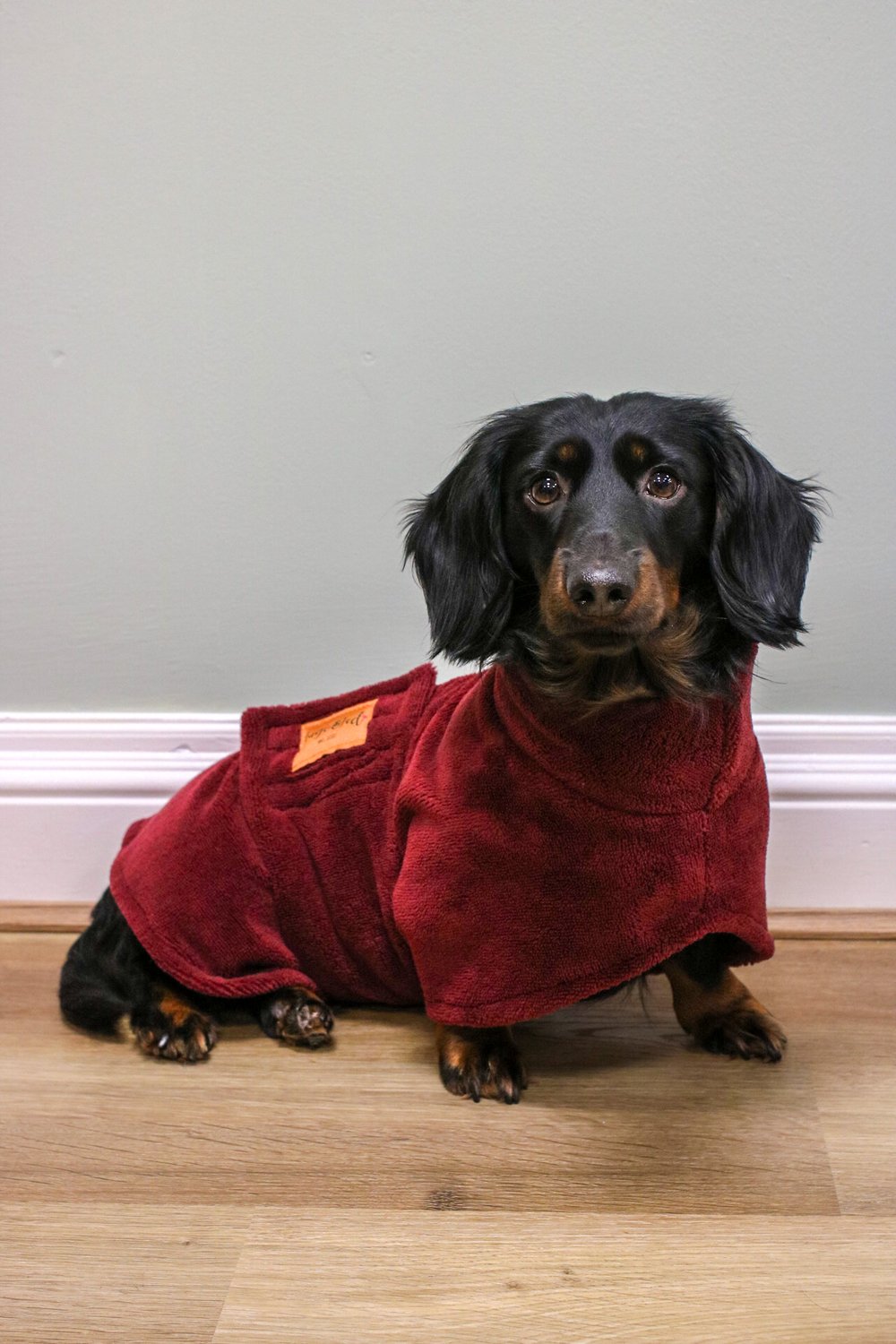 Luxury Bamboo Dog Drying Robe