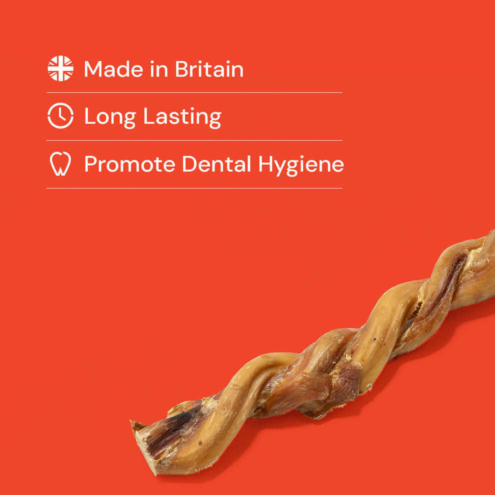 Twisted Pizzle Sticks 20-25CM