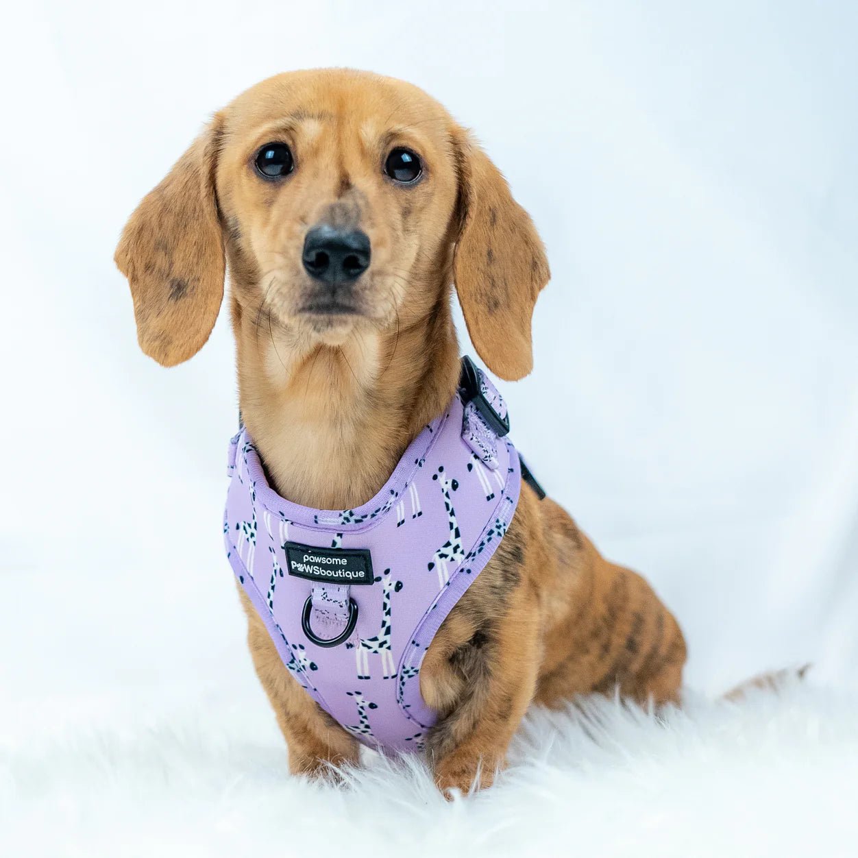 D-Ring Adjustable Harness - Georgina The Giraffe - The Cambridge Dog Co.