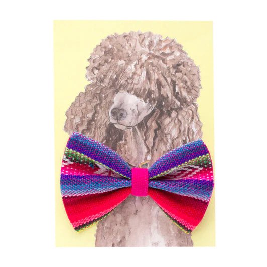 Hiro & Wolf Inca Pink Bow Tie