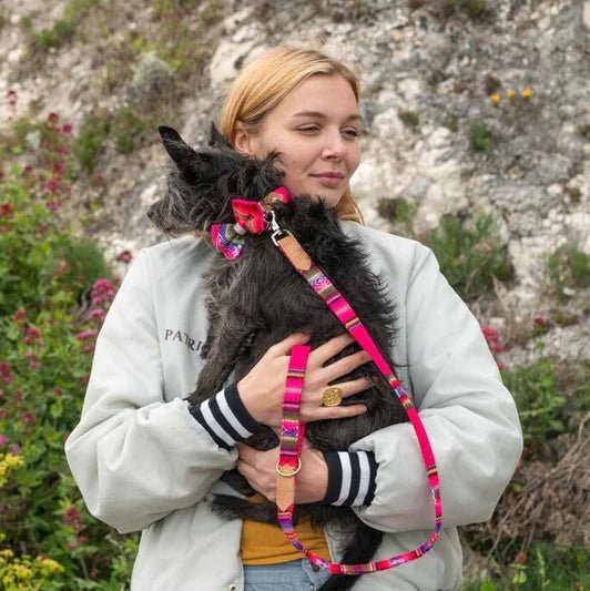Hiro + Wolf Inca Pink Classic Dog Lead