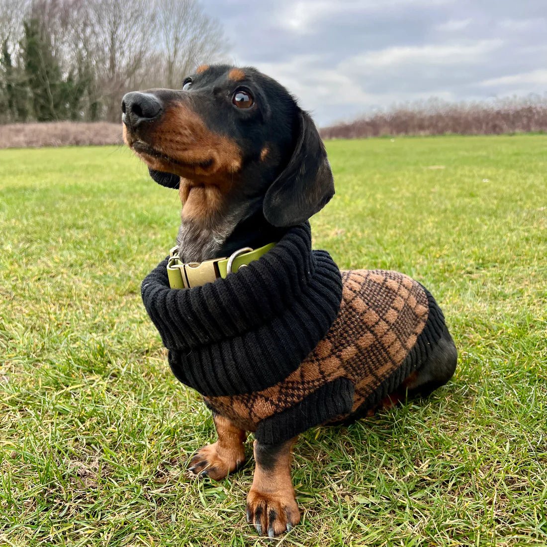 Lucy Black & Brown Dog Jumper and Matching Headband Set