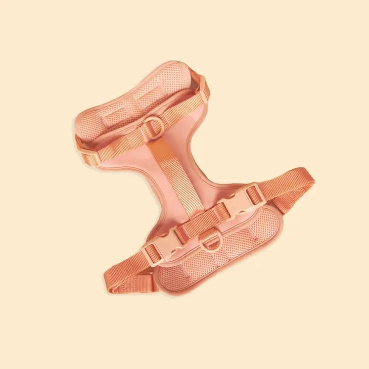 No-Pull Dog Harness - Peach