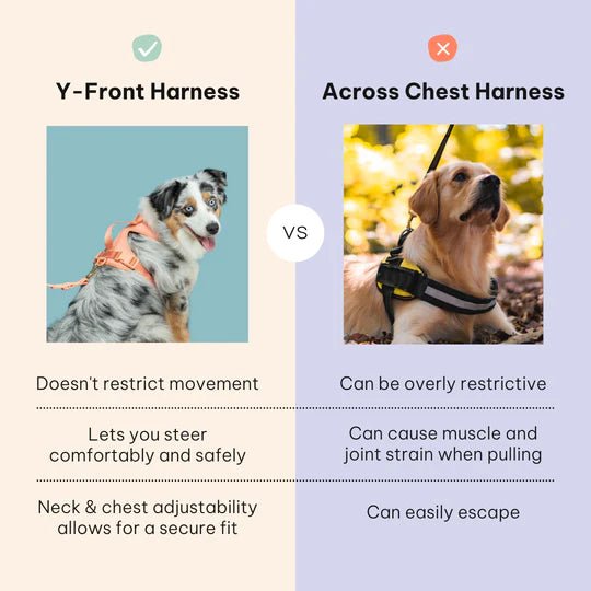 No-Pull Dog Harness - Peach