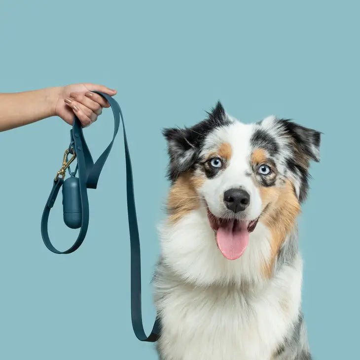 Waterproof Double Clip Dog Leash - Midnight