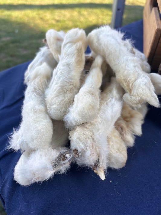 Rabbit Feet each