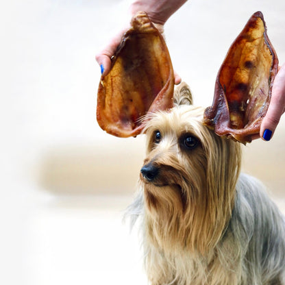 Pig Ears