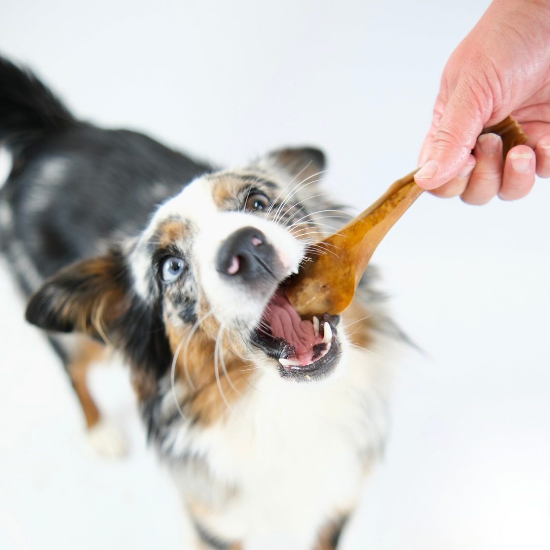 Goat Skins 100g