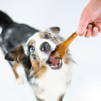 Goat Skins 100g
