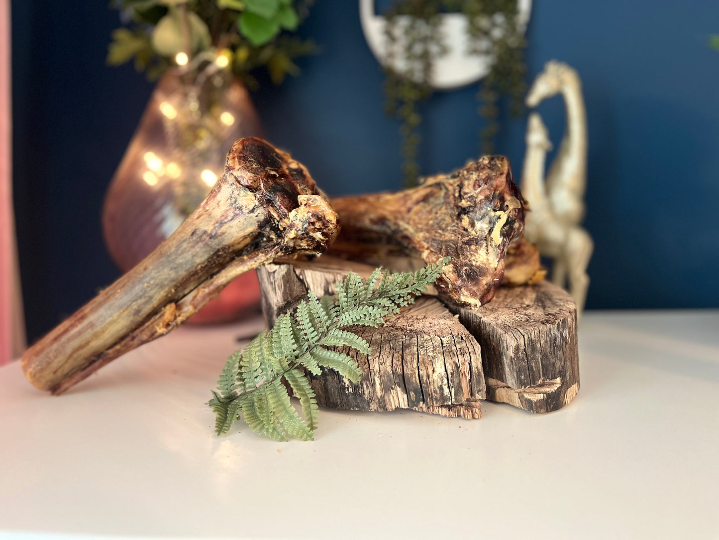 Ostrich Bone