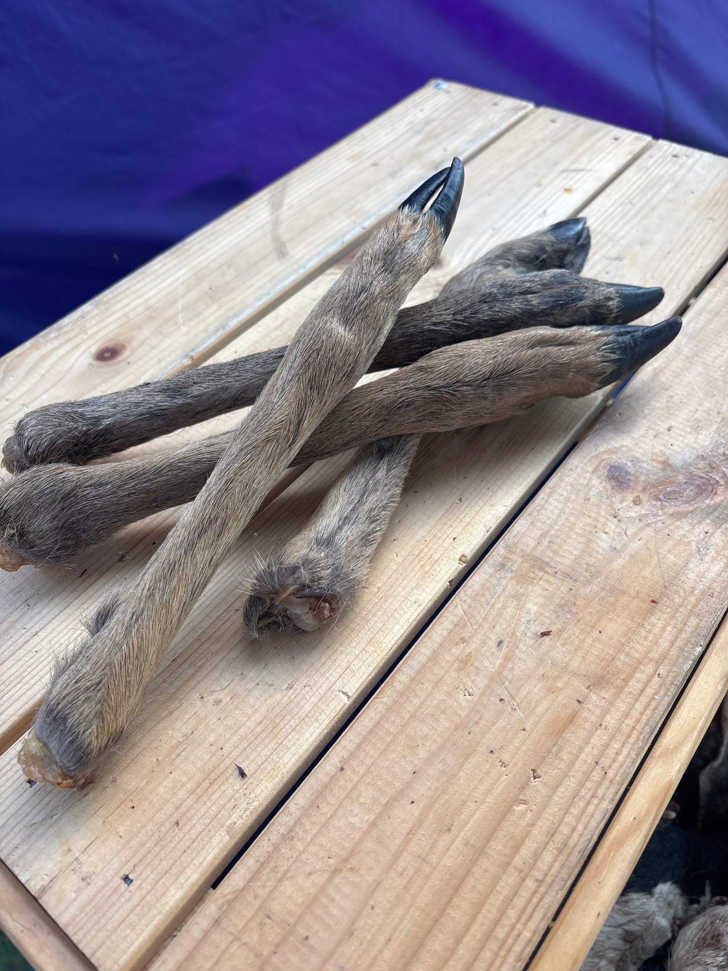 Hairy Venison Leg