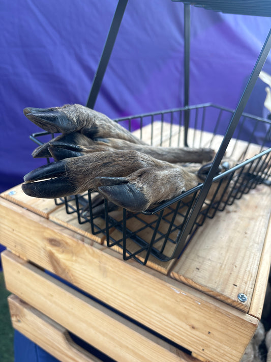 Hairy Venison Leg