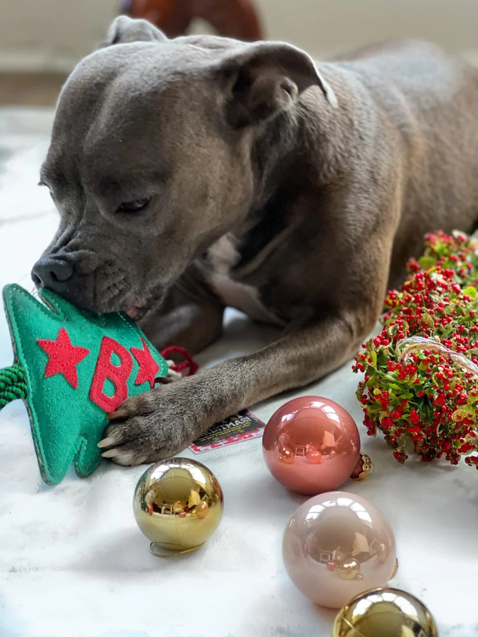 Bruce the Spruce Christmas Eco Toy