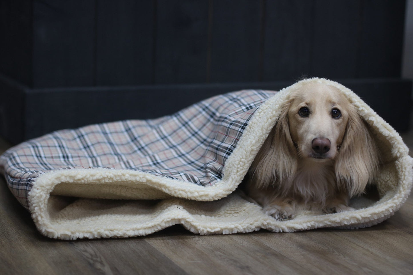 Tartan Snuggle Sacks