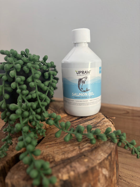 Premium Salmon Oil 500ml
