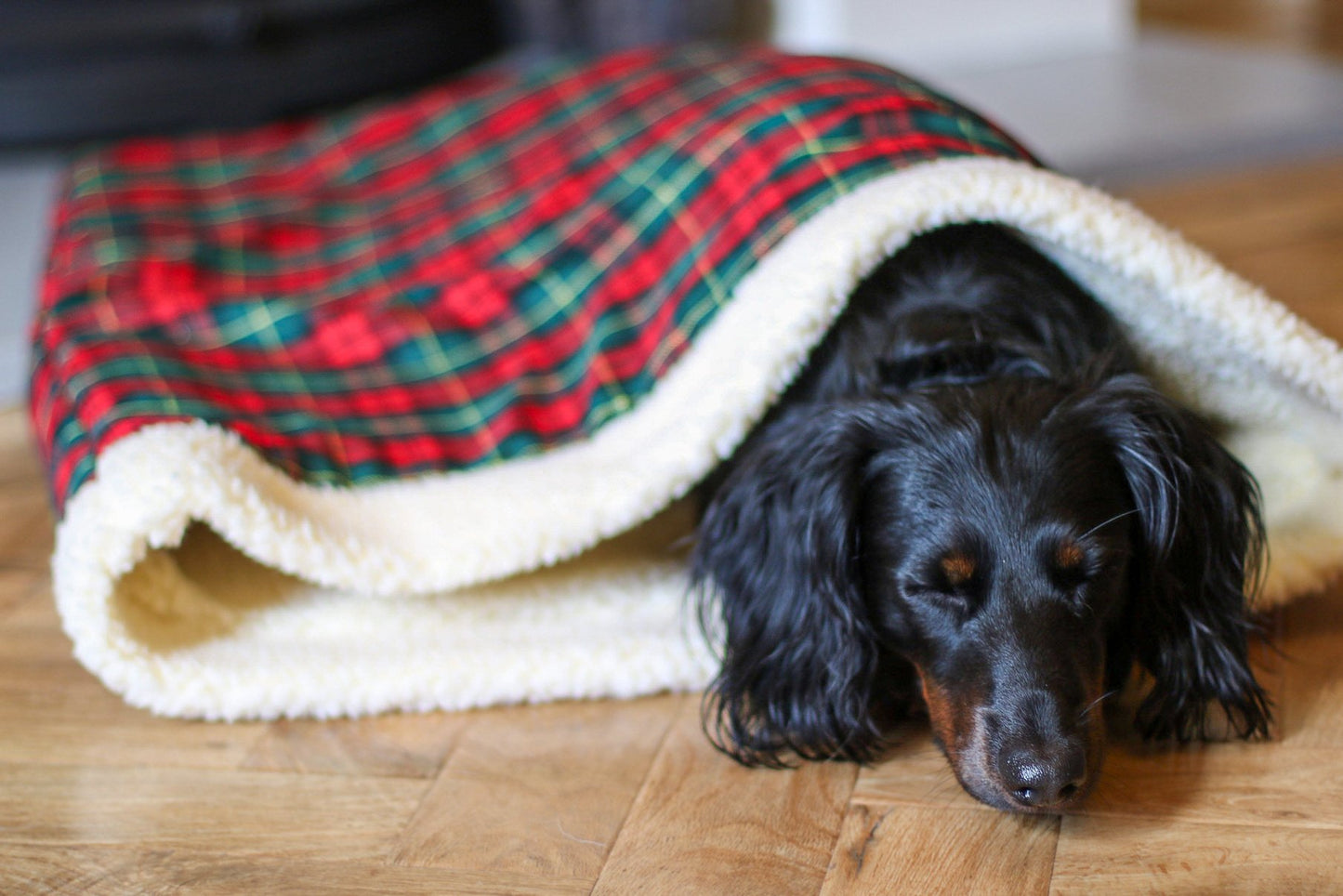Tartan Snuggle Sacks