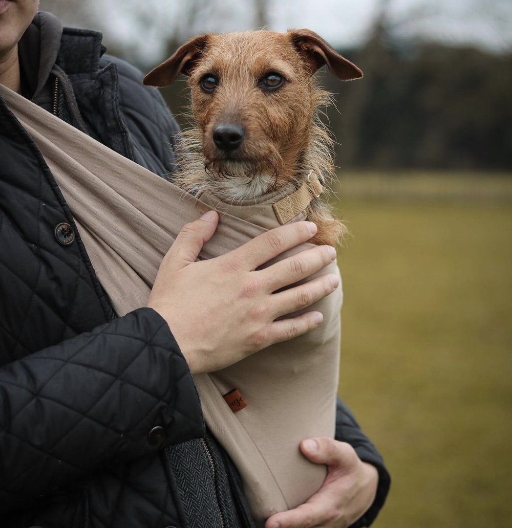 SUMMER LIGHT-WEIGHT DOG SLINGS