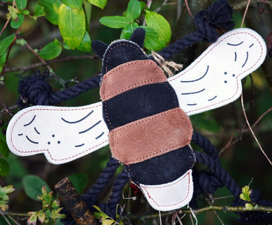 Bumble Bee Eco Natural Dog Toy