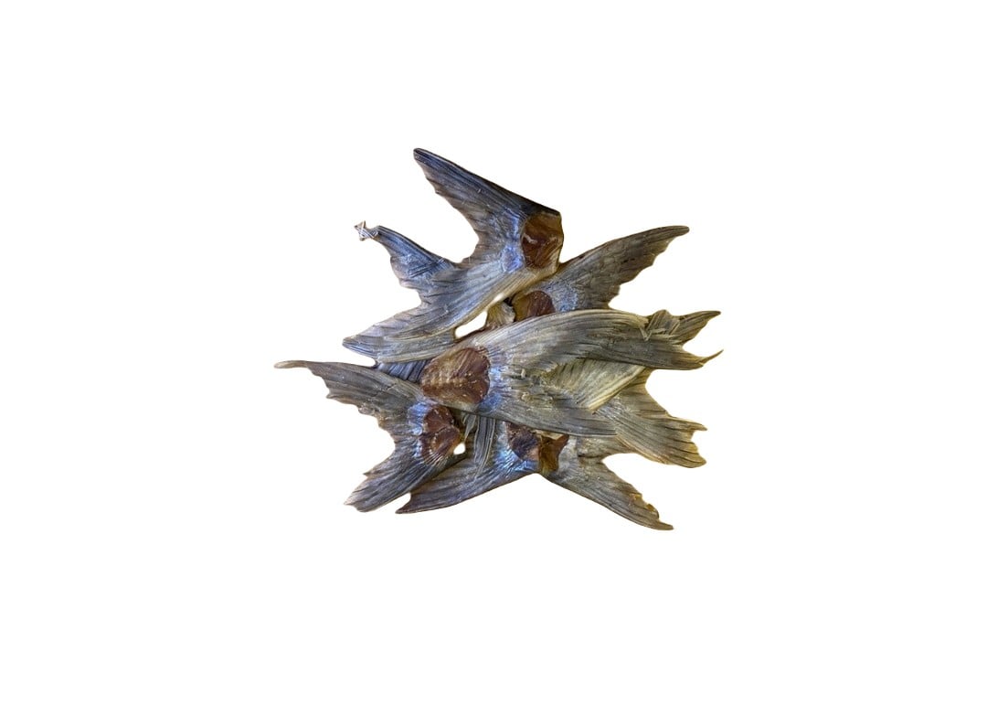 Pangasius Hypophthalmus Fish Tails 100g