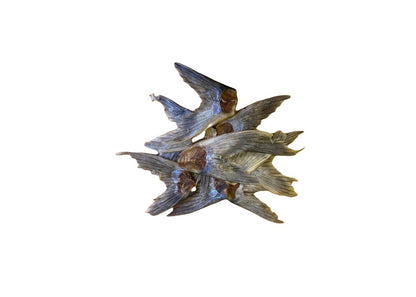 Pangasius Hypophthalmus Fish Tails 100g
