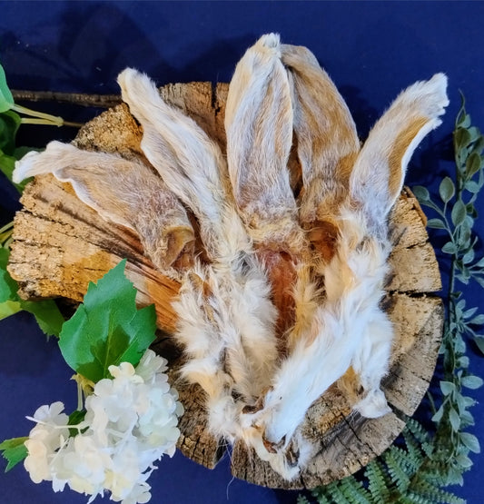 Rabbit Ears with Fur - Pack of 5