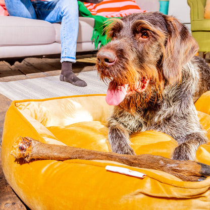Large Hairy Venison (deer) Leg
