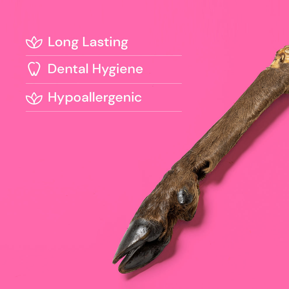 Large Hairy Venison (deer) Leg