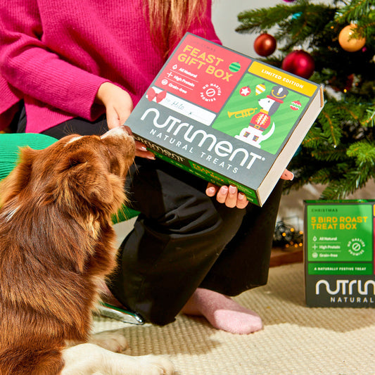 Christmas Feast Box