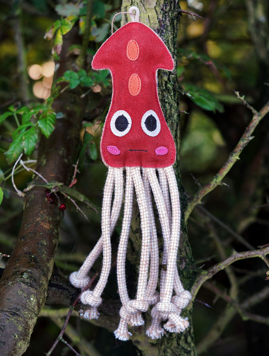 Kidd the Squid
