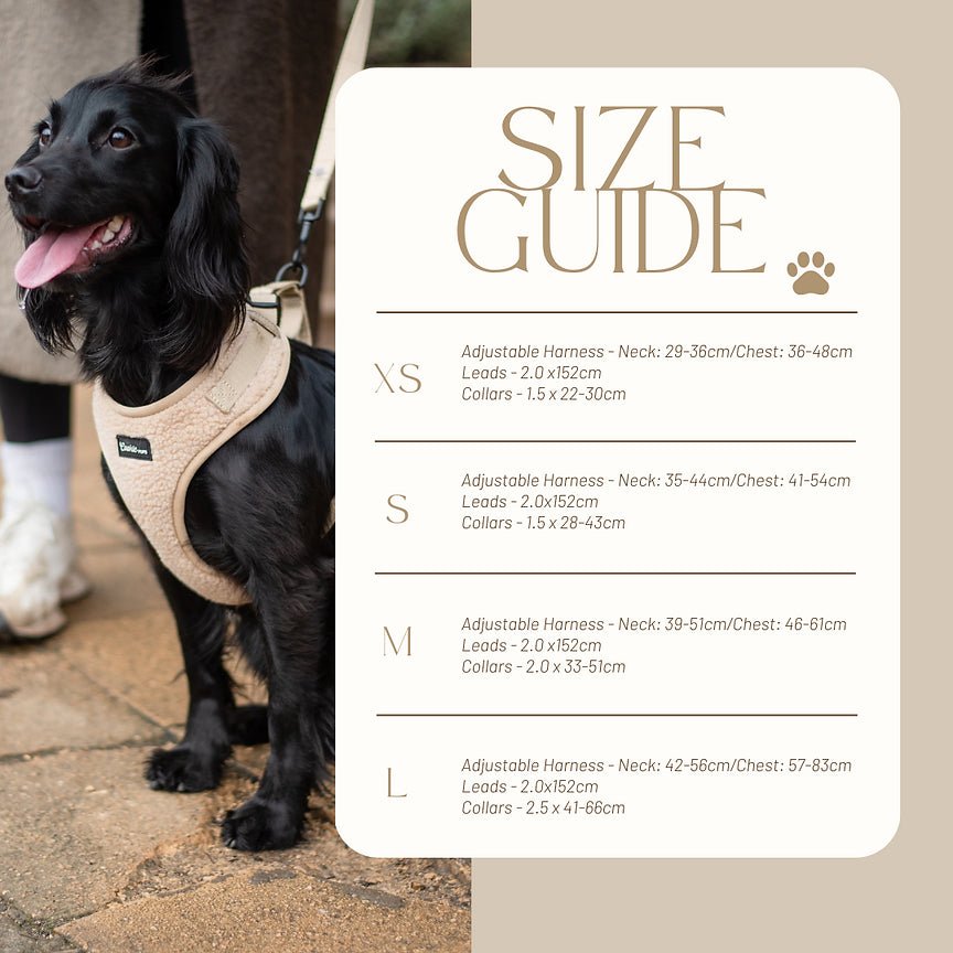 Beige Teddy Full Set - The Cambridge Dog Co.