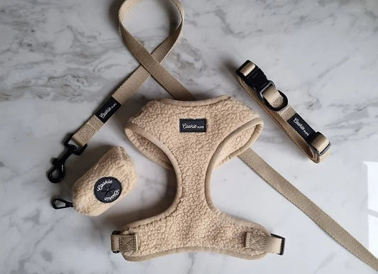 Beige Teddy Full Set - The Cambridge Dog Co.