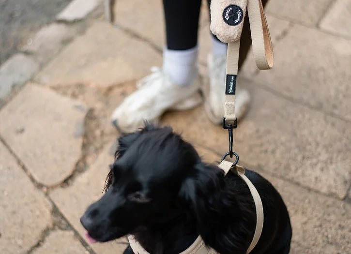 Beige Teddy Full Set - The Cambridge Dog Co.