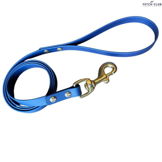 Biothane Walking Lead - The Cambridge Dog Co.