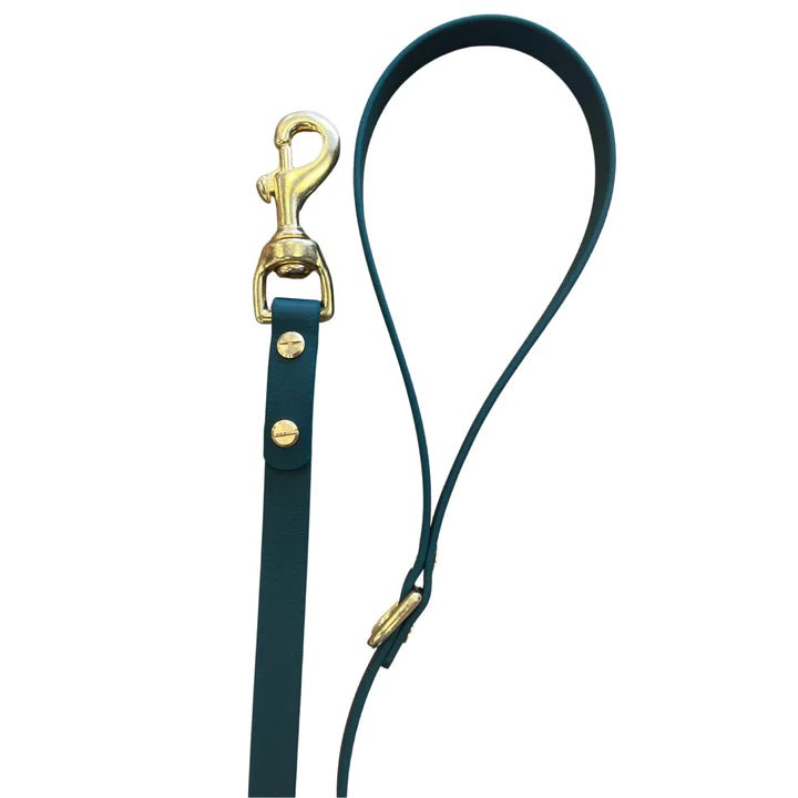 Biothane Walking Lead - The Cambridge Dog Co.