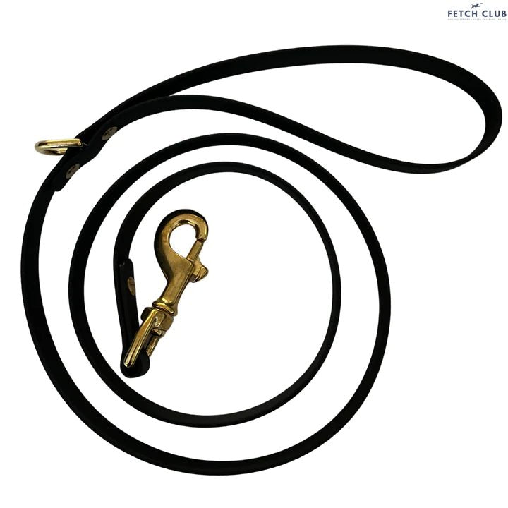 Biothane Walking Lead - The Cambridge Dog Co.