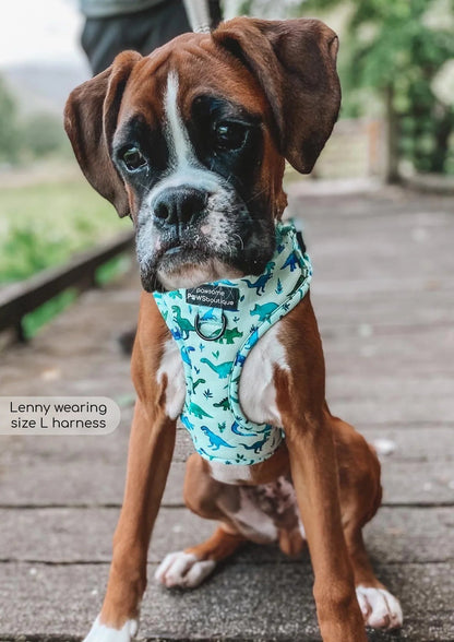 D-Ring Adjustable Harness – Dinky Dino - The Cambridge Dog Co.