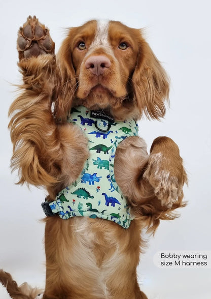 D-Ring Adjustable Harness – Dinky Dino - The Cambridge Dog Co.