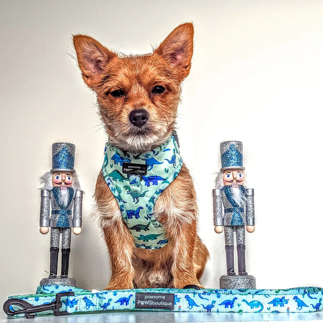 D-Ring Adjustable Harness – Dinky Dino - The Cambridge Dog Co.