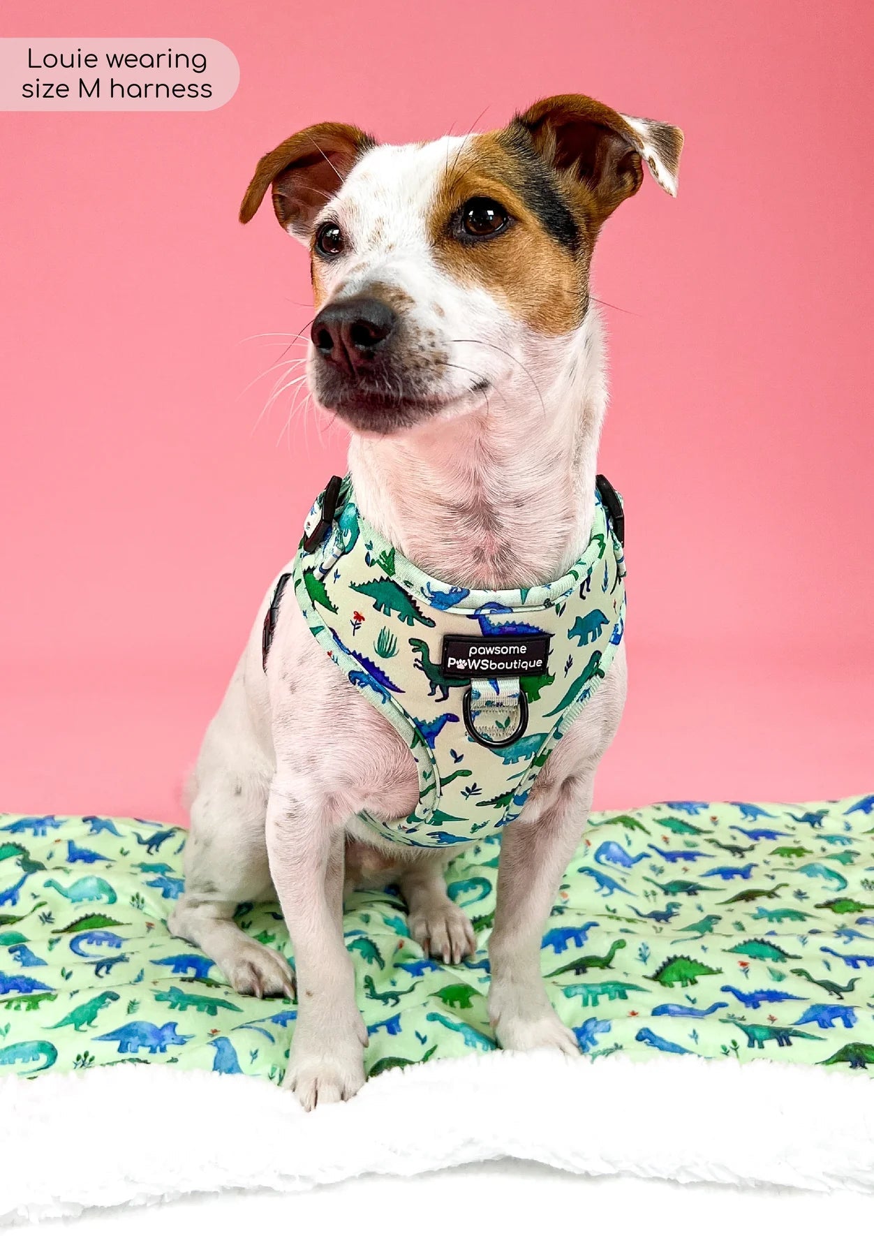 D-Ring Adjustable Harness – Dinky Dino - The Cambridge Dog Co.