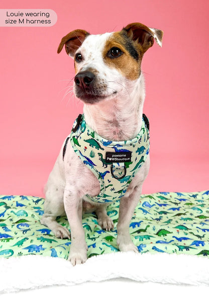 D-Ring Adjustable Harness – Dinky Dino - The Cambridge Dog Co.
