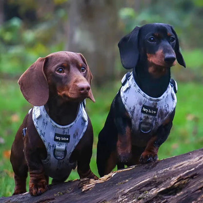 Feeling Pine - Lead - The Cambridge Dog Co.