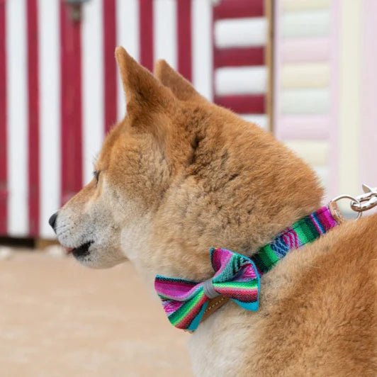 Hiro & Wolf Inca Blue Bow Tie