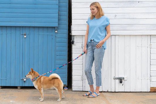 Hiro + Wolf Inca Blue Classic Dog Lead