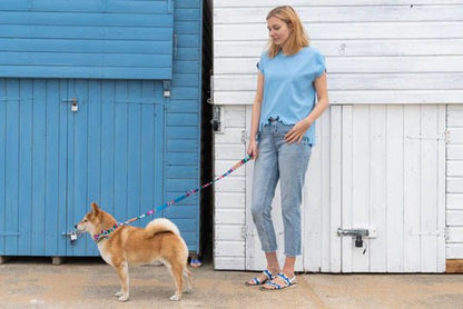 Hiro + Wolf Inca Blue Classic Dog Lead