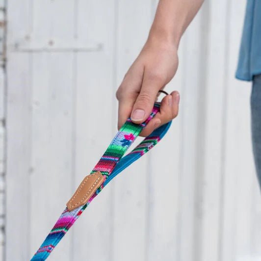 Hiro + Wolf Inca Blue Classic Dog Lead